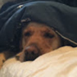 Meet your Posher, Lucien